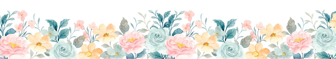 bm.webp