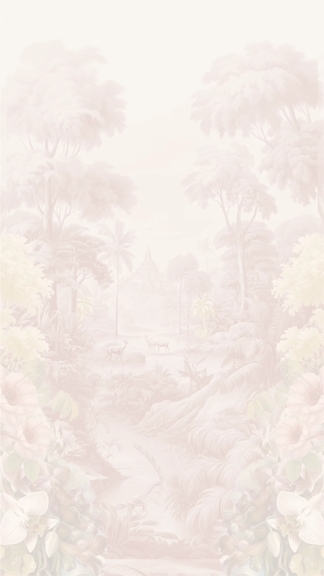 bm.webp